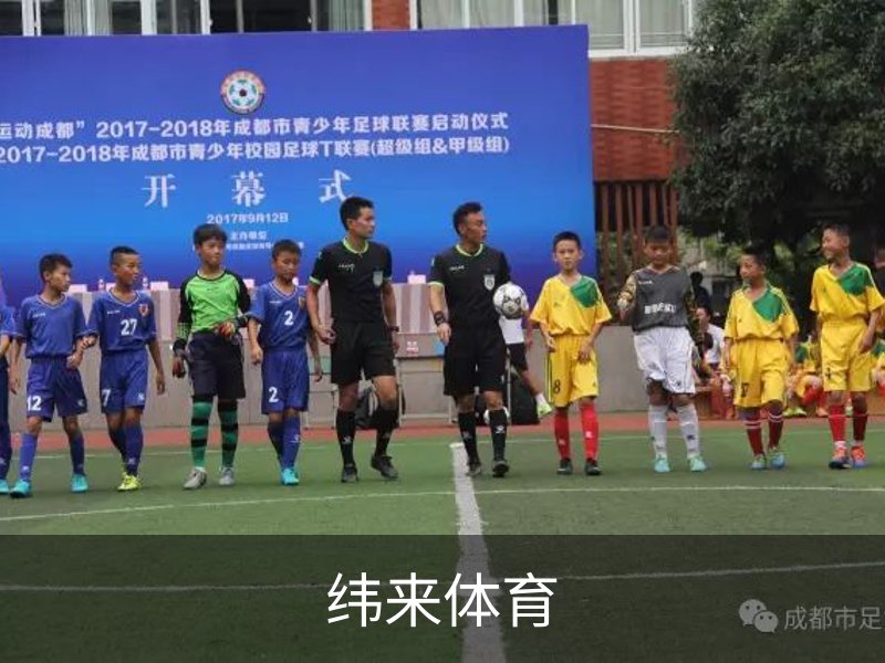 关于纬来体育